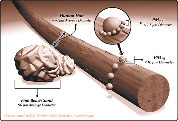 Particle Size