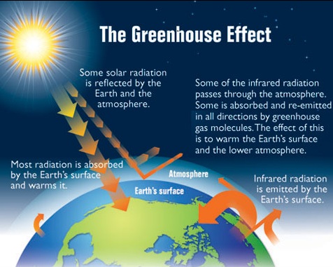 The Greenhouse Effect